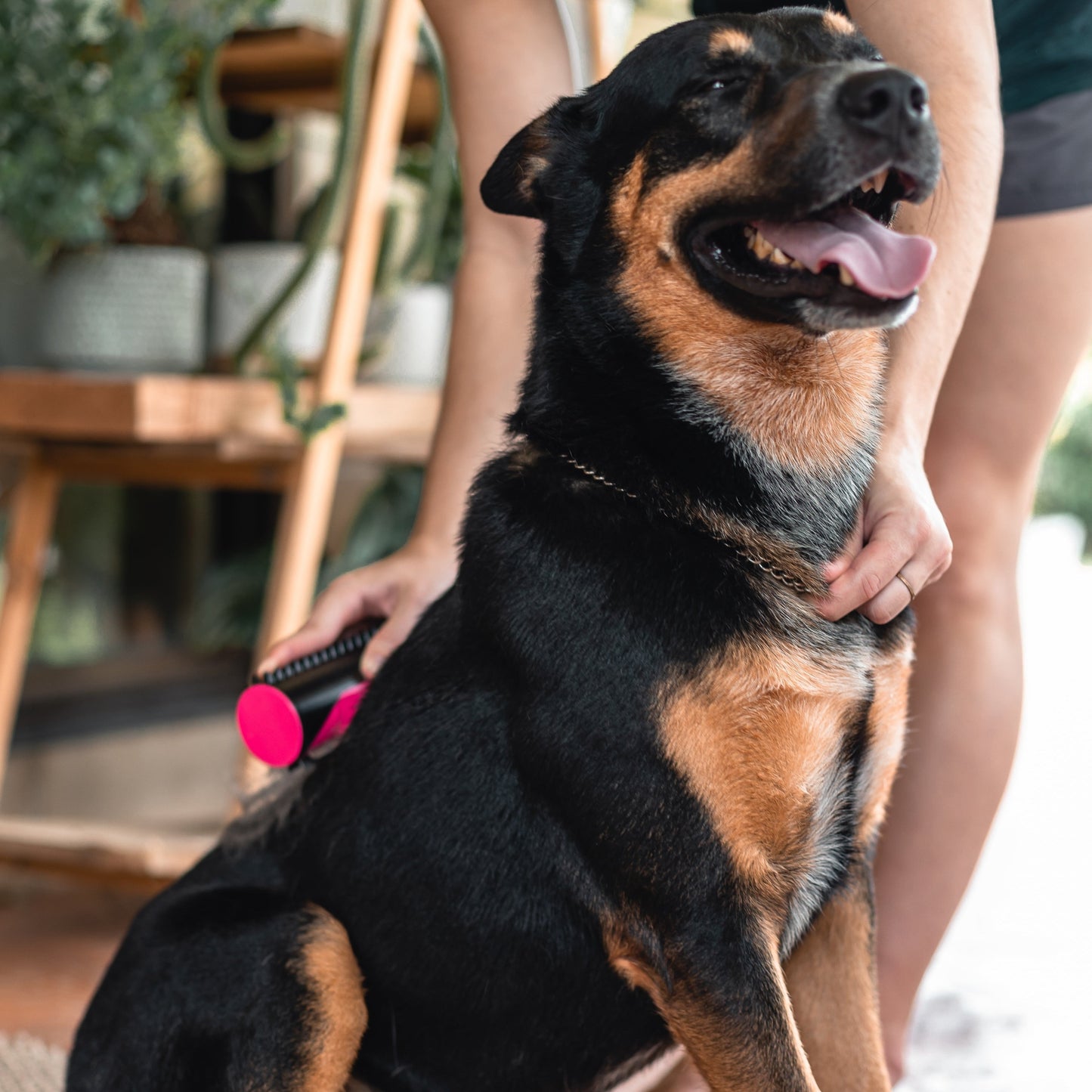 SilkyBrush Pro-3 in 1