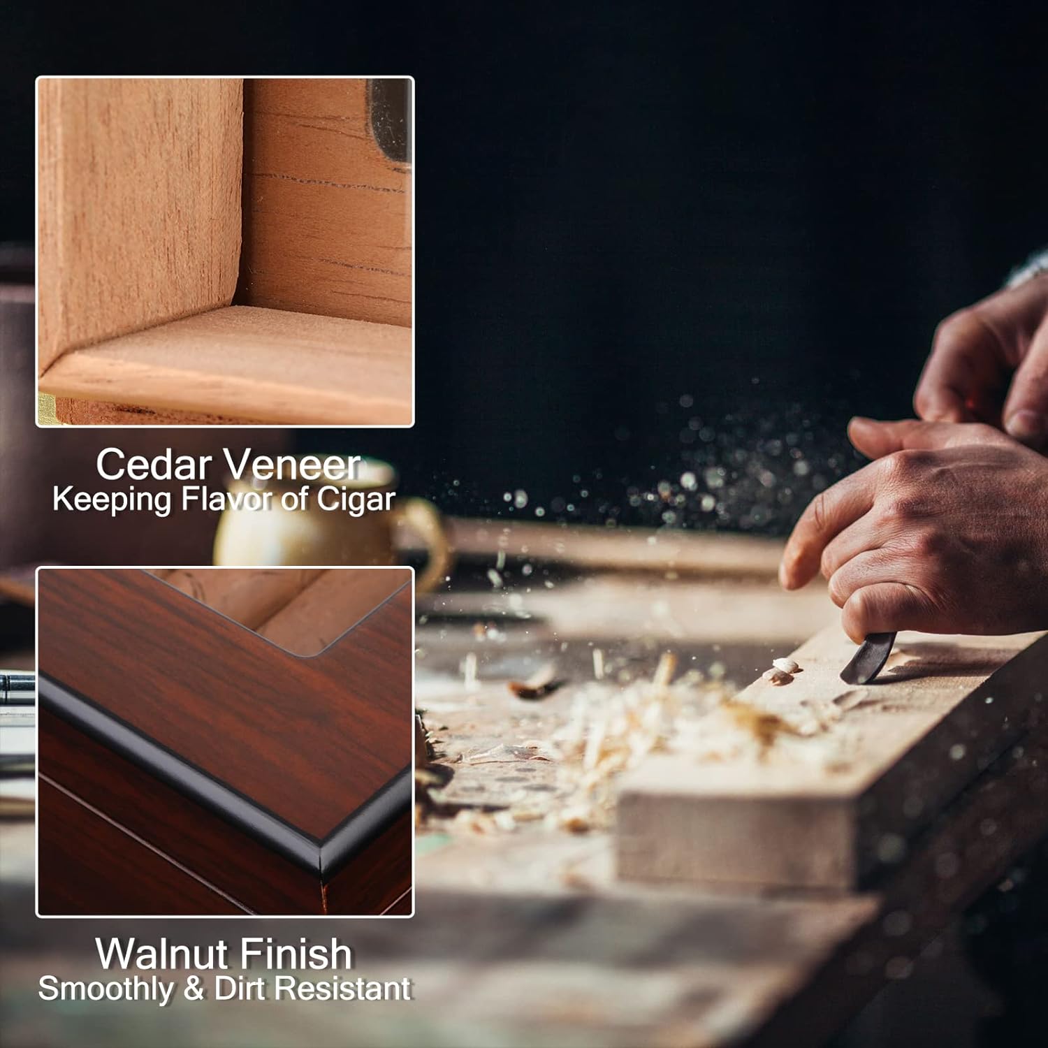 Elegant Cigar Case