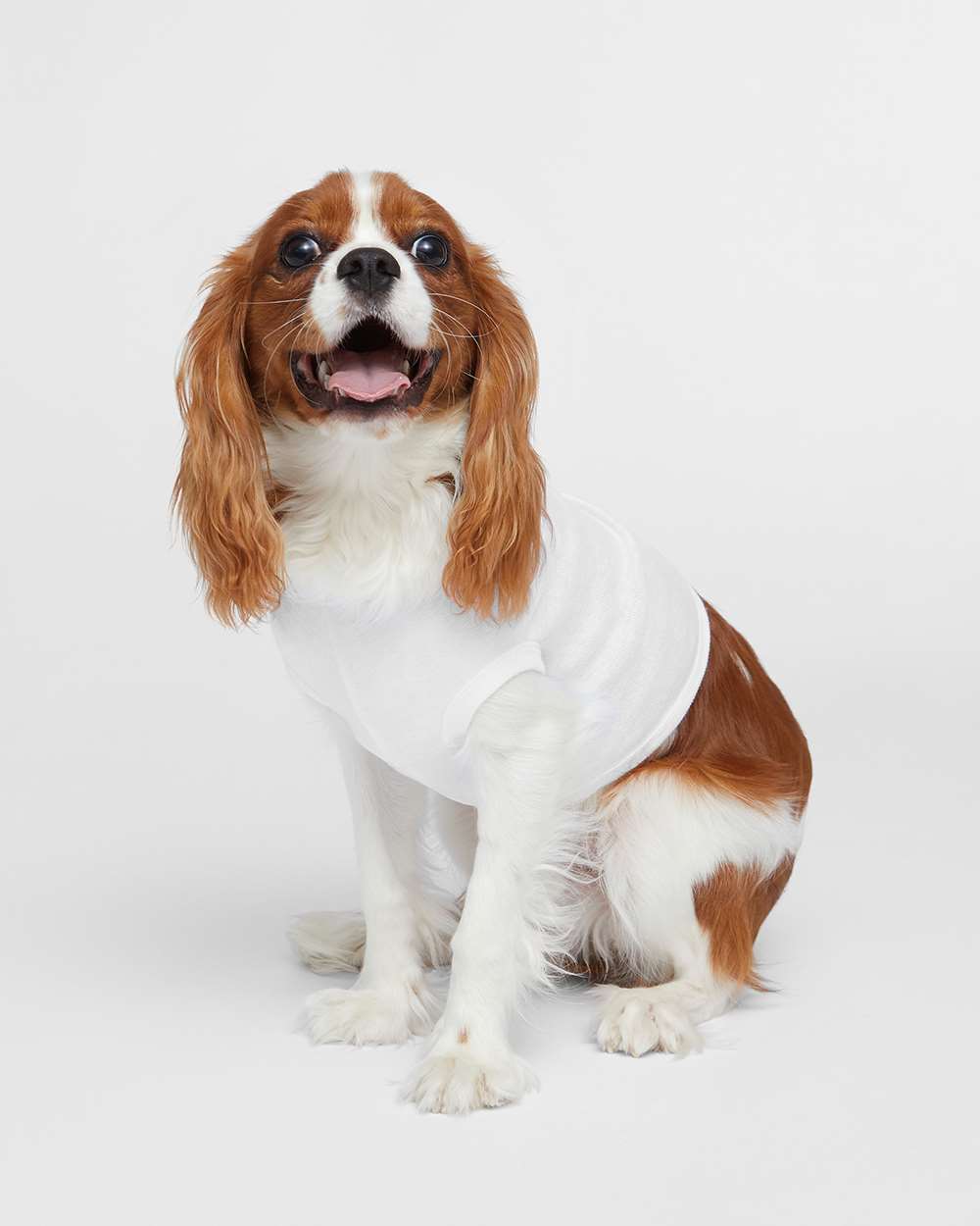 Custom Doggie Tank