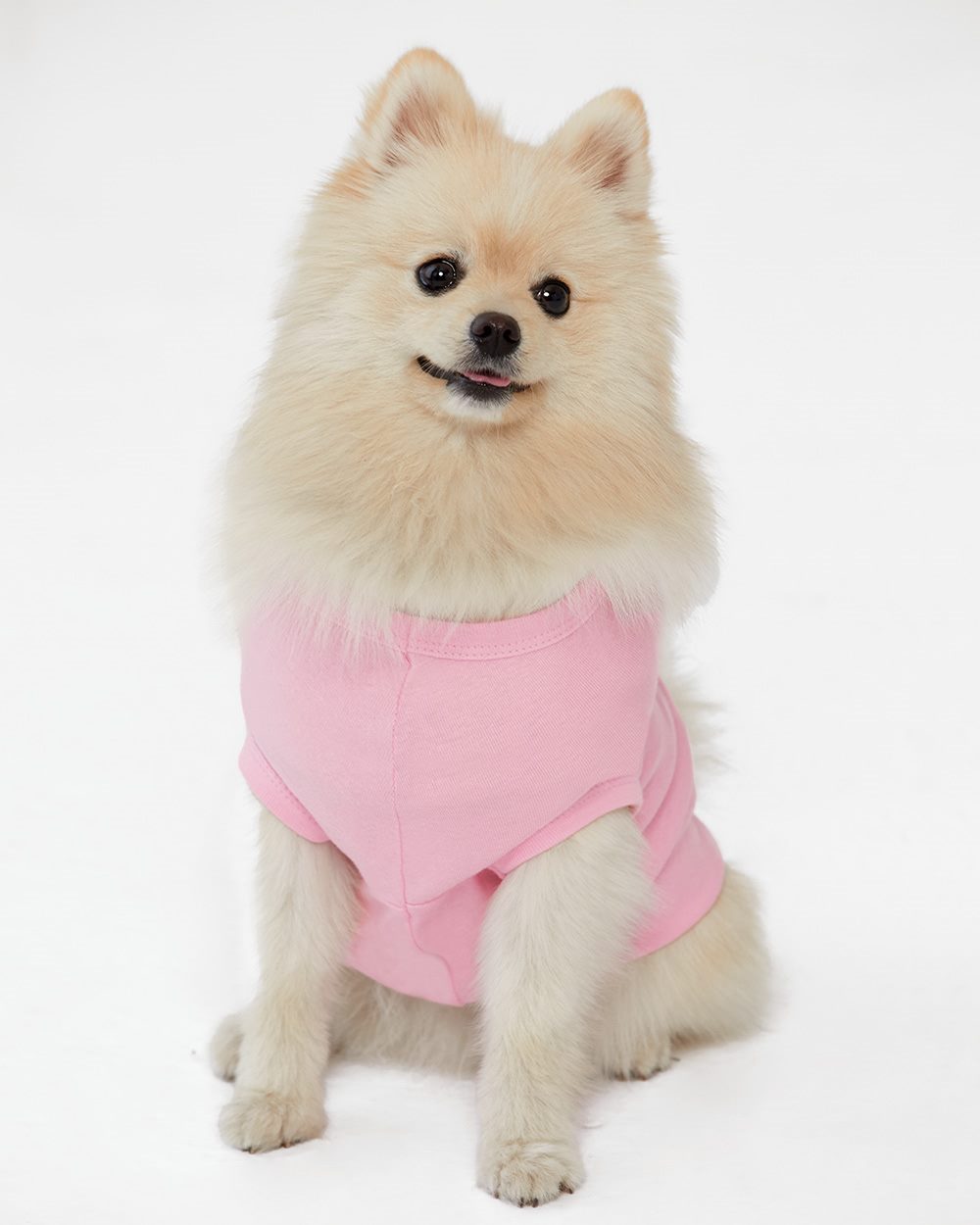 Custom Doggie Tank